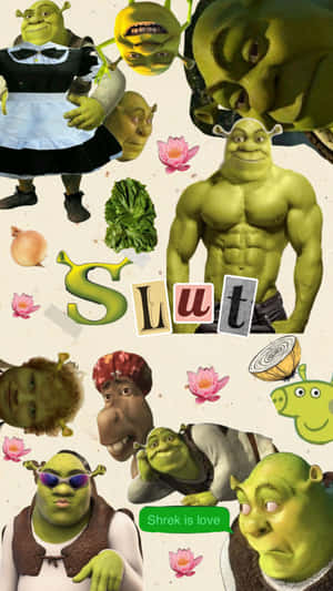 Shrek Collage Aesthetic.jpg Wallpaper