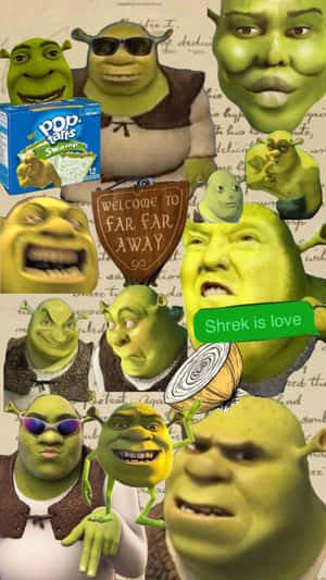 Shrek Collage Aesthetic Montage Wallpaper