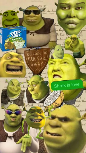 Shrek Collage Aesthetic Montage Wallpaper