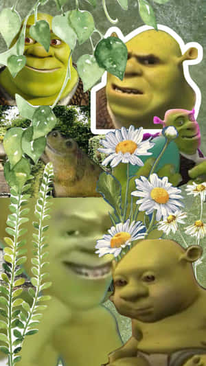 Shrek Collage Nature Aesthetic.jpg Wallpaper