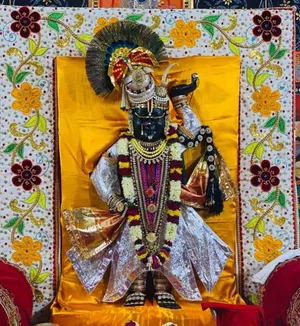 Shrinathji Statue With Embellishments Wallpaper