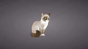 Siamese Cat Meme Laptop Judging Drop Eyes Wallpaper