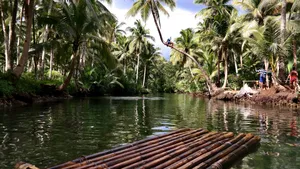 Siargao Island Maasin River Raft Wallpaper