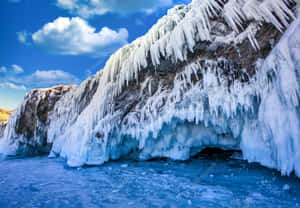 Siberian Winter Wonderland Wallpaper