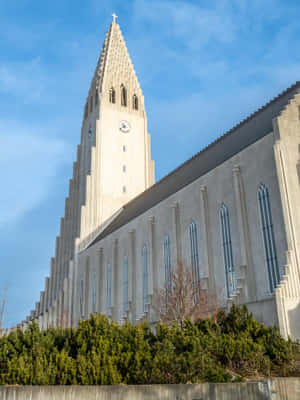 Side View Of Hallgrimskirkja Wallpaper