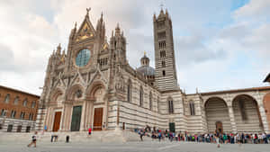 Siena Cathedral Wallpaper