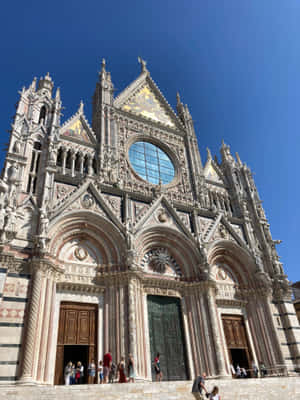 Siena Cathedral Wallpaper