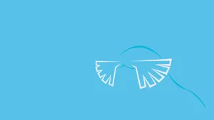 Signature Whiskers Of Sealeo Wallpaper