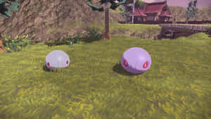 Silcoon And Cascoon On Grass Wallpaper