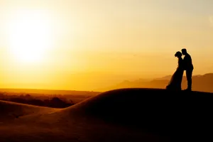 Silhouette Newly Weds Wallpaper