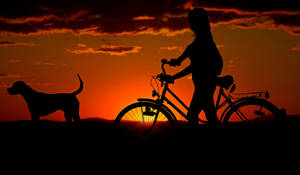 Silhouette Of A Dog And Girl In A Sunset Wallpaper