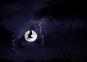 Silhouetted Bird Lightning Moon Wallpaper