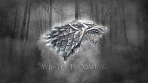 Silver House Stark Winter Sigil Wallpaper