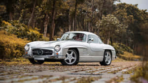 Silver Old Mercedes In Forest View Wallpaper