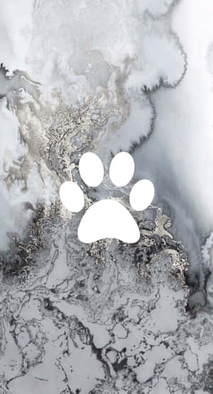 Silver Paw Print Aesthetic Wallpaper