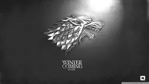 Silver Stark Shining Wallpaper