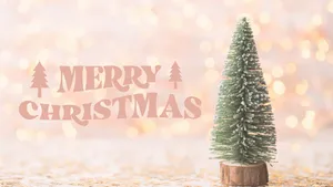 Simple Aesthetic Cute Christmas Small Christmas Tree Wallpaper