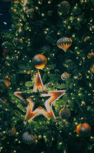 Simple Aesthetic Cute Christmas Tree With Illuminated Star Wallpaper