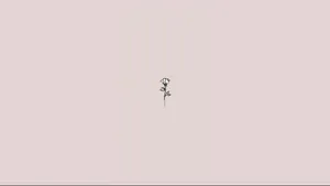 Simple Aesthetic Rose Wallpaper