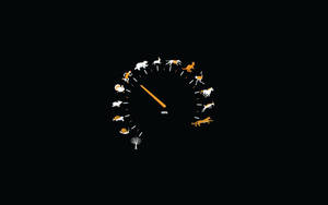 Simple Black Speedometer With Animals Wallpaper