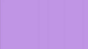 Simple Electric Purple Color Hd Background Wallpaper