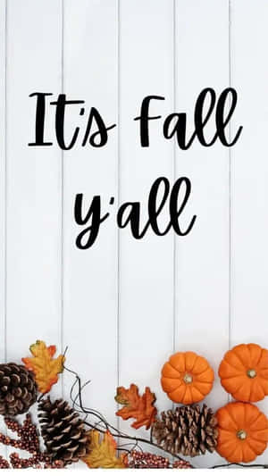 Simple Fall Pinecones Pumpkins Wallpaper
