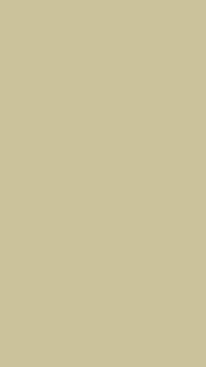 Simple Fawn Beige Wallpaper