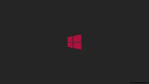 Simple Fuchsia Logo Windows 1 Wallpaper