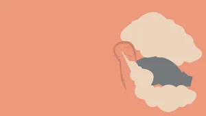 Simple Minimalist Torkoal Art Wallpaper