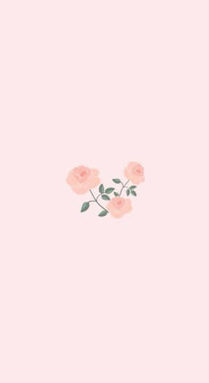 Simple Pink Roses Aesthetic Wallpaper Wallpaper
