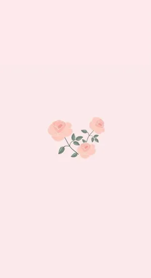 Simple Pink Roses Aesthetic Wallpaper Wallpaper