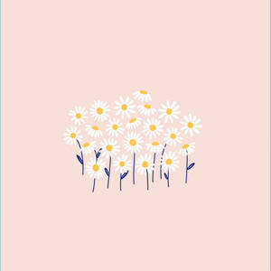 Simple Pink White Daisy Aesthetic Art Wallpaper