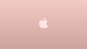Simple Rose Gold Apple Desktop Wallpaper