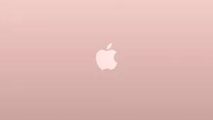 Simple Rose Gold Apple Desktop Wallpaper