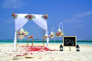 Simple Sunny Beach Wedding Background Wallpaper