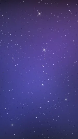 Simplistic Beauty Of A Blazing Red Rose Wallpaper