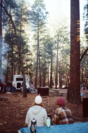 Simplistic Camping In Nature Wallpaper