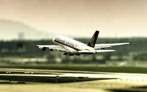 Singapore Airlines Blurred Focus Wallpaper