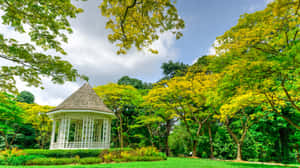 Singapore_ Botanic_ Gardens_ Bandstand Wallpaper