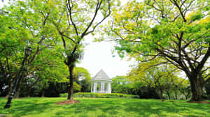 Singapore Botanic Gardens Bandstand Pavilion Wallpaper