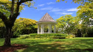 Singapore_ Botanic_ Gardens_ Bandstand_ Pavilion Wallpaper