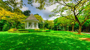 Singapore Botanic Gardens Bandstand Pavilion Wallpaper