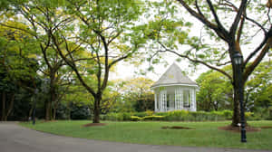 Singapore Botanic Gardens Bandstand Pavilion Wallpaper