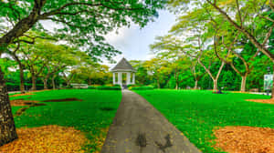 Singapore_ Botanic_ Gardens_ Bandstand_ Pavilion Wallpaper