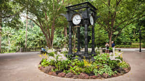 Singapore_ Botanic_ Gardens_ Clock_ Tower Wallpaper