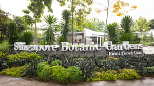 Singapore_ Botanic_ Gardens_ Entrance_ Signage Wallpaper