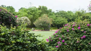 Singapore_ Botanic_ Gardens_ Floral_ Display Wallpaper