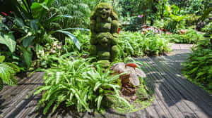 Singapore_ Botanic_ Gardens_ Moss_ Statue Wallpaper