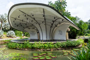 Singapore_ Botanic_ Gardens_ Shaw_ Foundation_ Symphony_ Stage Wallpaper