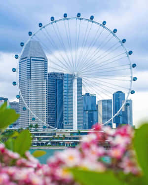 Singapore_ Flyer_ Against_ Cityscape Wallpaper